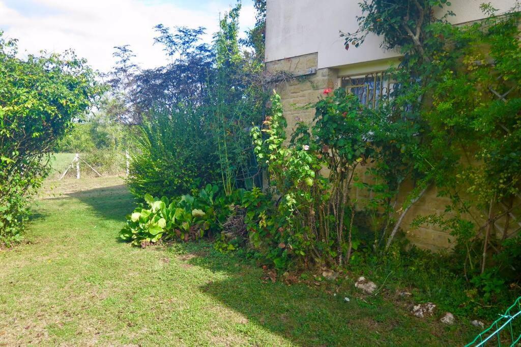 Les Petits Self Contained 2 Bedroom Apartment Molieres (Dordogne) Екстер'єр фото